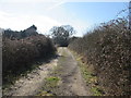 Track between hedges