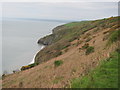SN4160 : Cliffs on Ceredigion Coast Path/Wales Coast Path by John Light