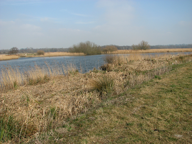 View across the River Yare