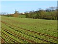 SP8223 : Farmland, Stewkley by Andrew Smith