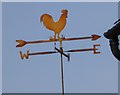 Weathercock in West Horsley