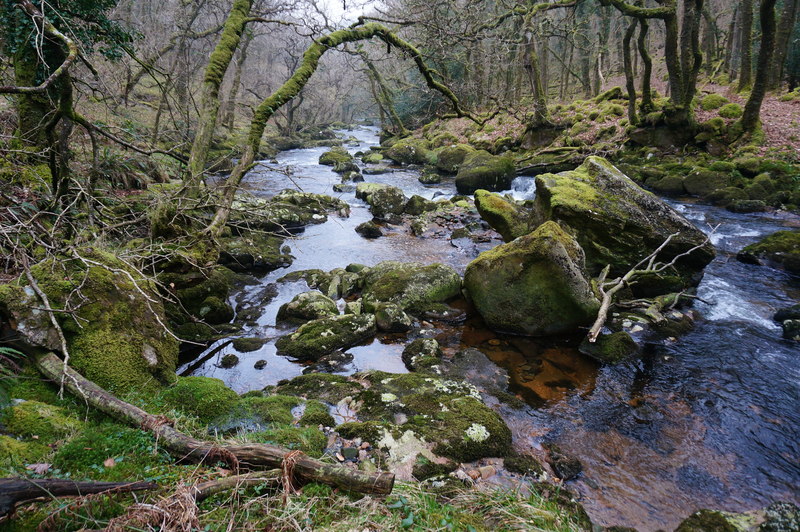 River Plym, looking downstream © jeff collins cc-by-sa/2.0 :: Geograph ...