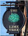 The Lime Tree public house, Paignton