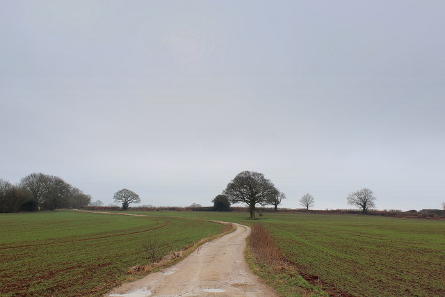 Access Lane from Whin Lane Farm