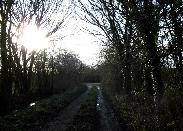 Gin Lane, Laxfield