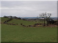 Fields at Highflat Farm