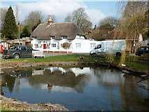 SU5646 : Village pond and thatched cottage, North Waltham by Robin Webster