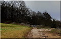 Ebor Way approaching Woods