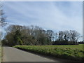 Triangular copse near Colkirk, Norfolk