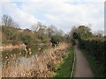 Footpath by Royal Military Canal