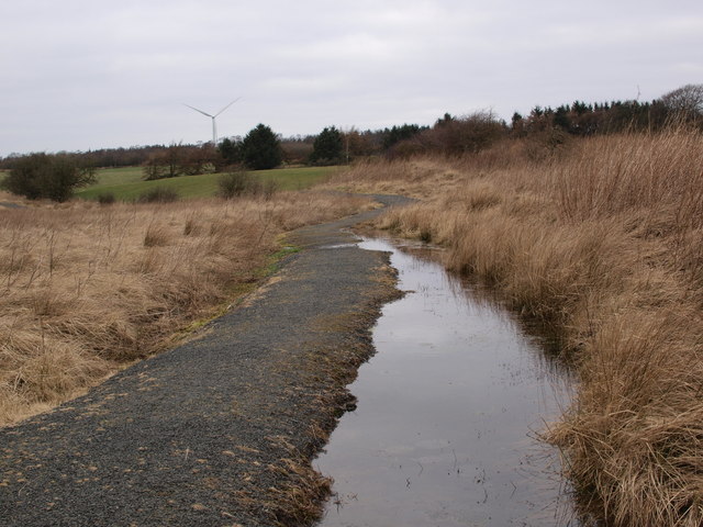 Path in Cathkin Marsh reserve