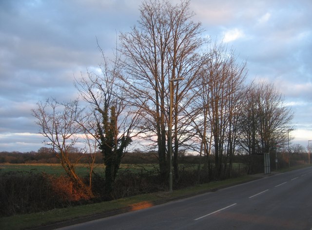 View along St Johns Road
