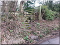 Stile and steps on Oakwood Bank footpath