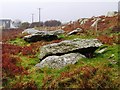 Garn Wen Burial Chambers