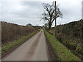 Lane to the east of Weston Jones