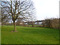 A tributary of the River Roding at Debden