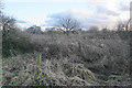 Scrub land by the Trent & Mersey Canal