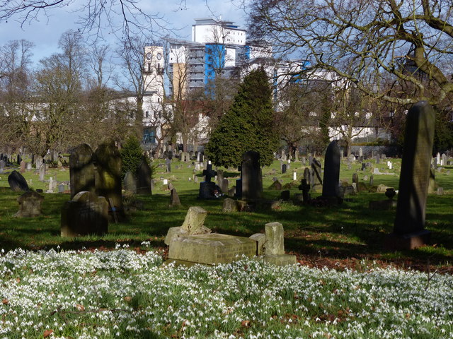 Snowdrops at Welford Road Cemetery © Mat Fascione :: Geograph Britain ...