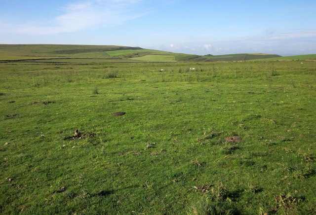 Sheep pasture on Old Moor