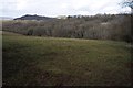 Cwm above Talgarth