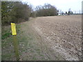 TL4600 : Footpath near Epping by Marathon