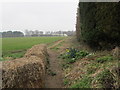 Footpath - Syke Lane