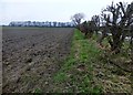 Ploughed Field