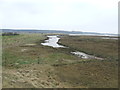 Boyton  Marshes