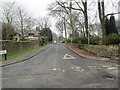 Ling Lane - Bay Horse Lane