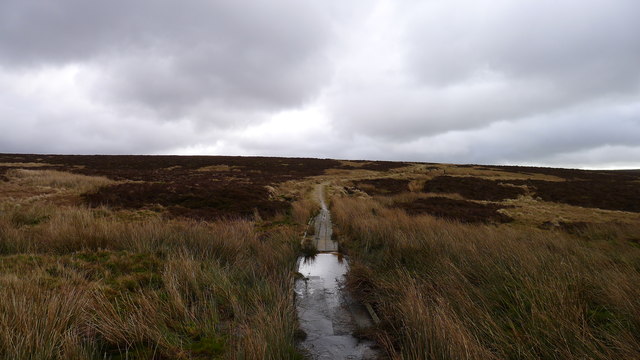 The bridleway across Barden Moor