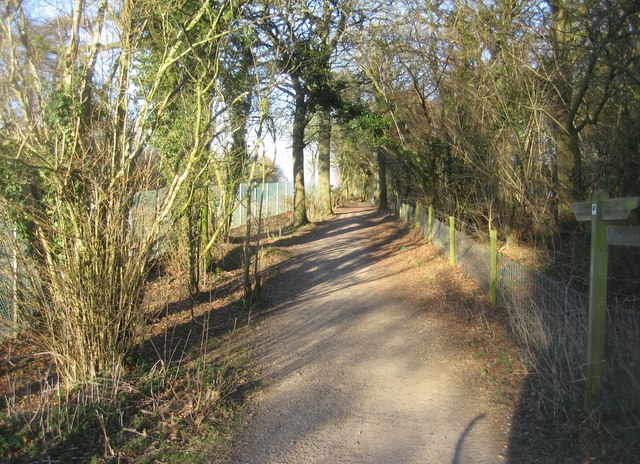 Cycle path by Wells Copse