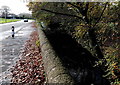 River, pavement and road, Pencoed