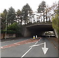 North side of a motorway bridge, Pencoed