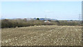 Farmland beside the A40, Elmbridge