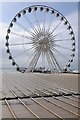 TQ3103 : Big wheel, Brighton by Philip Halling