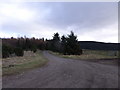 Farm Track near Lettoch