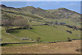 Fields near Nant-y-gwyrddail farm