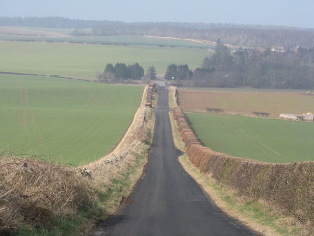 The road to Petersmuir