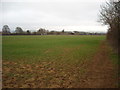 SU2388 : Arable field west of Station Road, Shrivenham by Vieve Forward
