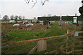 Allotments by the road from Hoby to Brooksby