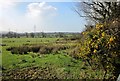 Farmland near Canworthy