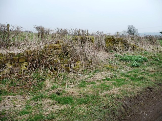 Ruined structure alongside Weeton Lane