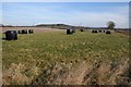 Silage bales