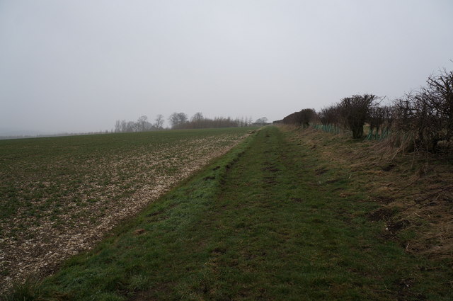 Wolds Way towards Wold Farm