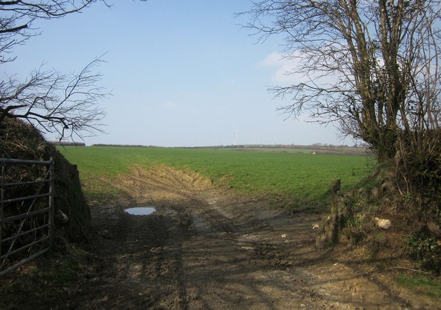 Field near Trewonnard