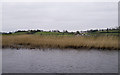 H2145 : Rushes, Lower Lough Erne by Rossographer