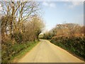 Road at Lower Exe