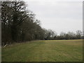 SP6232 : Bridleway alongside Widmore Plantation by Jonathan Thacker