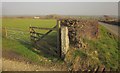 Field and road near Reave House