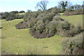 ST7290 : Hillside grazing near Uppergreen Farm by JThomas